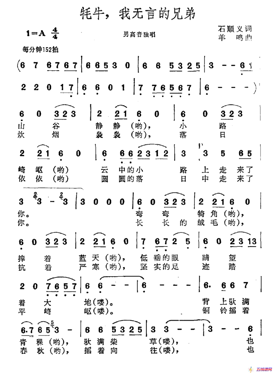 牦牛，我无言的兄弟