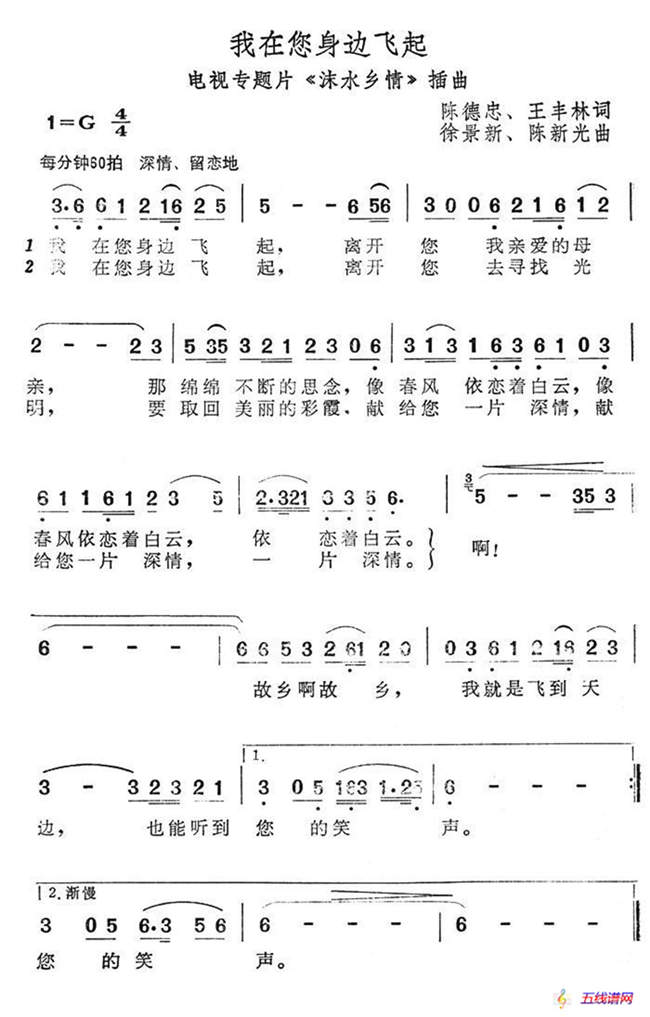 我在您身边飞起（电视专题片《沫水乡情》插曲）