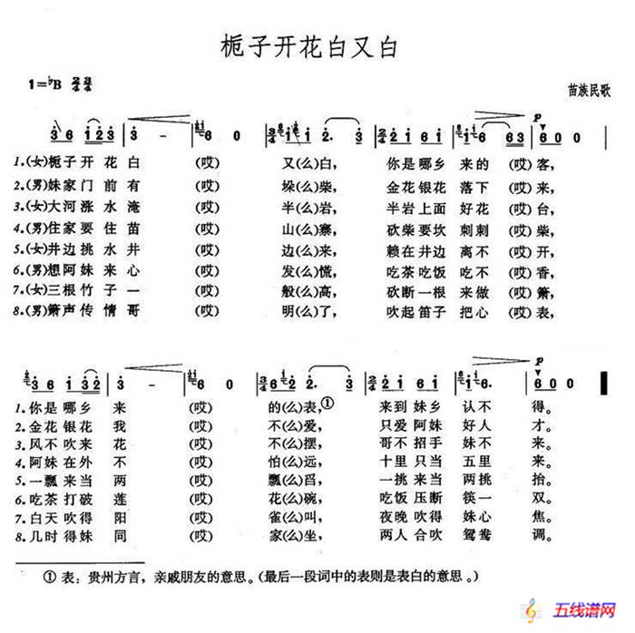 梔子開花白又白