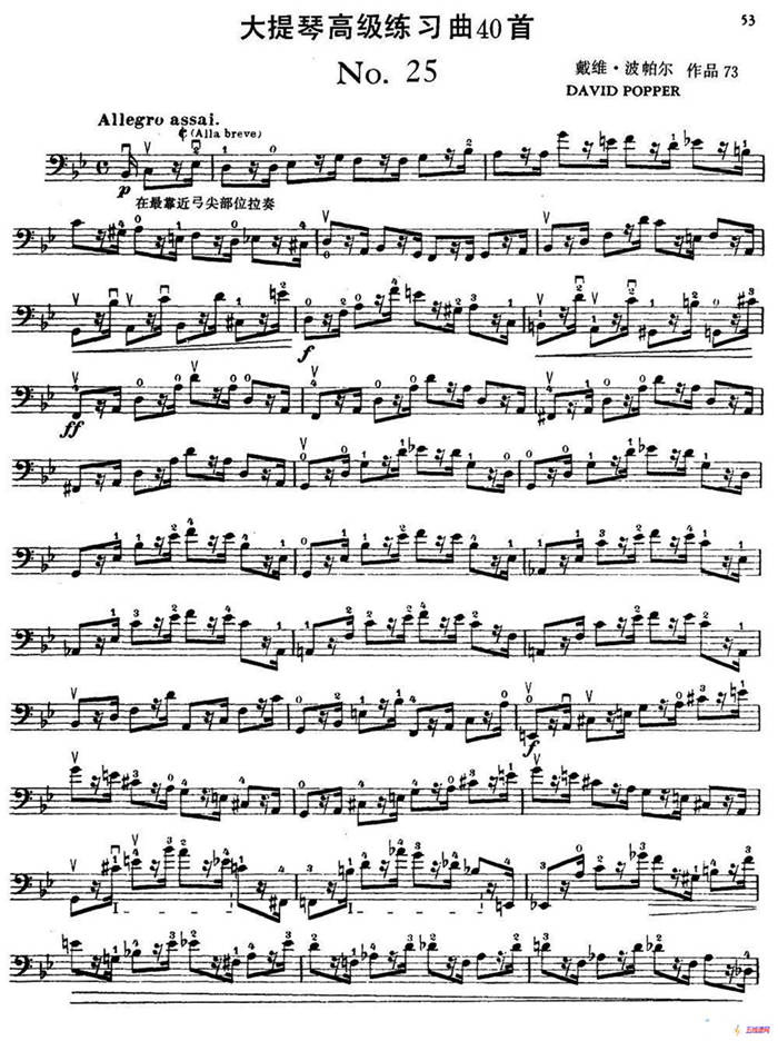 大提琴高级练习曲40首 No.25
