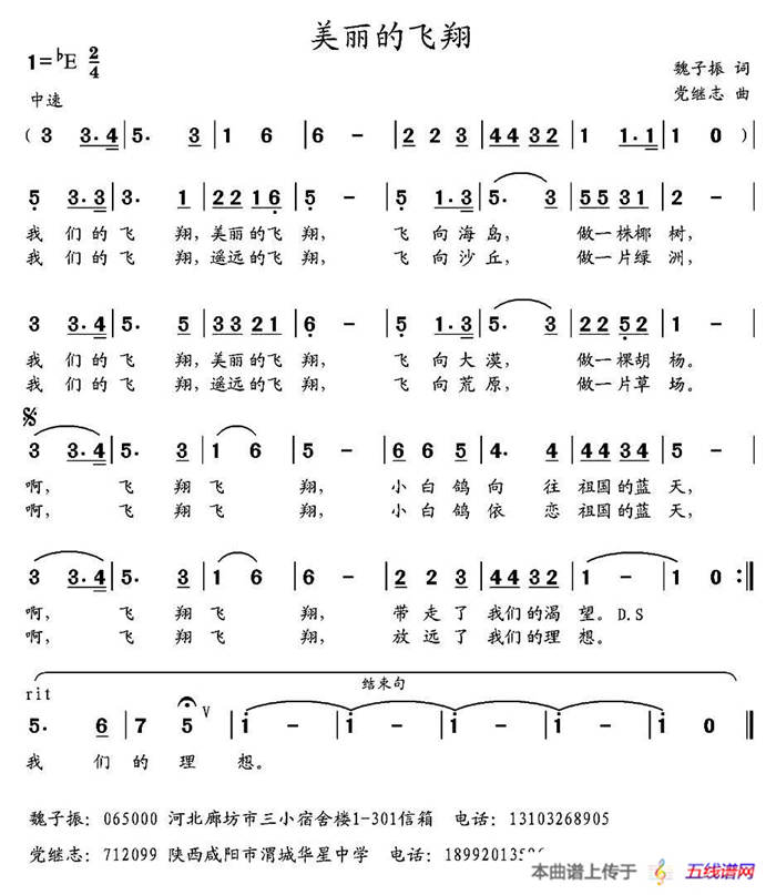 美丽的飞翔