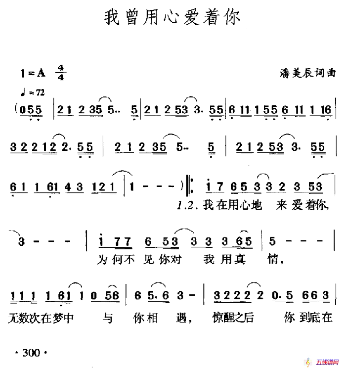 我曾用心爱着你