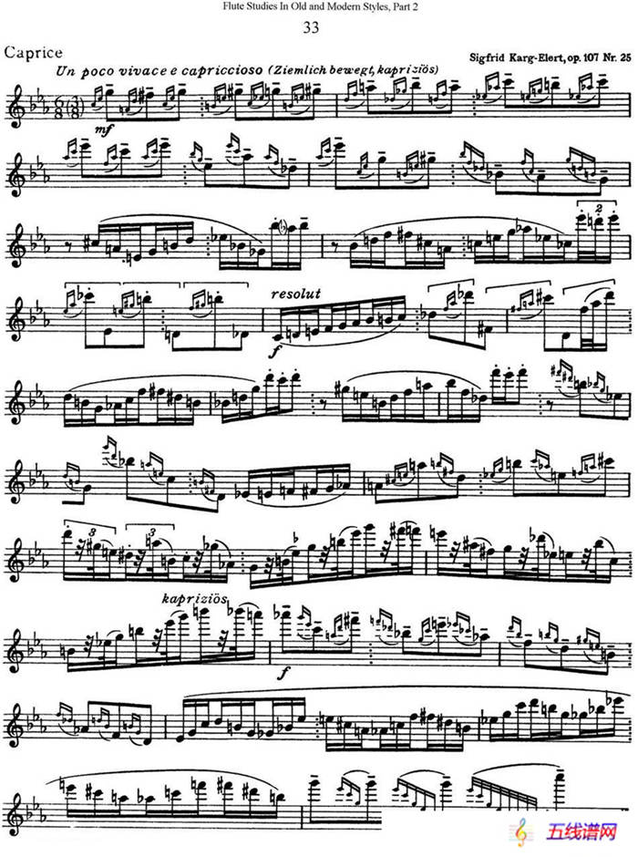 斯勒新老风格长笛练习重奏曲（第二部分）（NO.33）