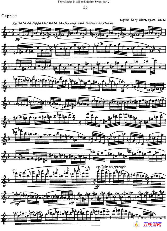 斯勒新老风格长笛练习重奏曲（第二部分）（NO.35）