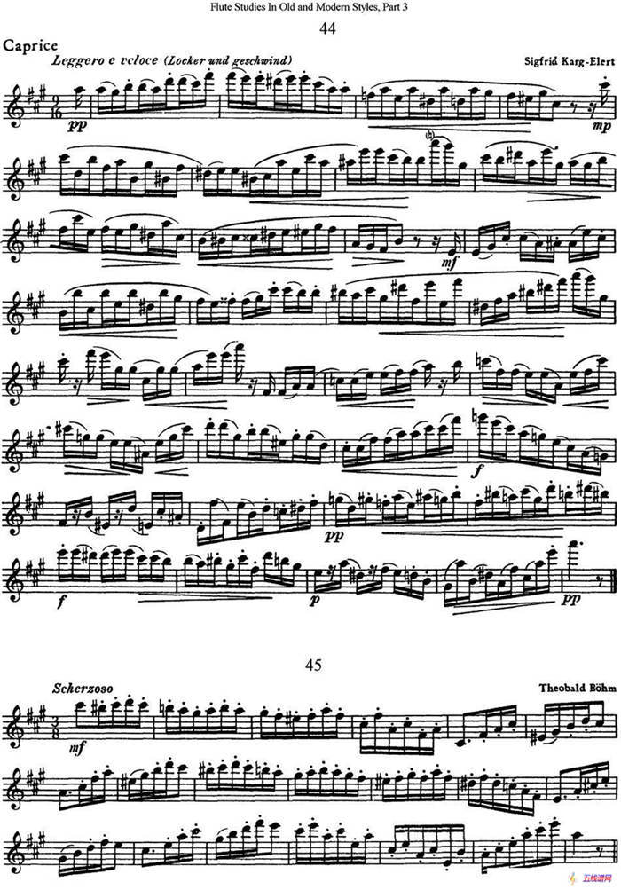 斯勒新老风格长笛练习重奏曲（第三部分）（NO.44-NO.45）