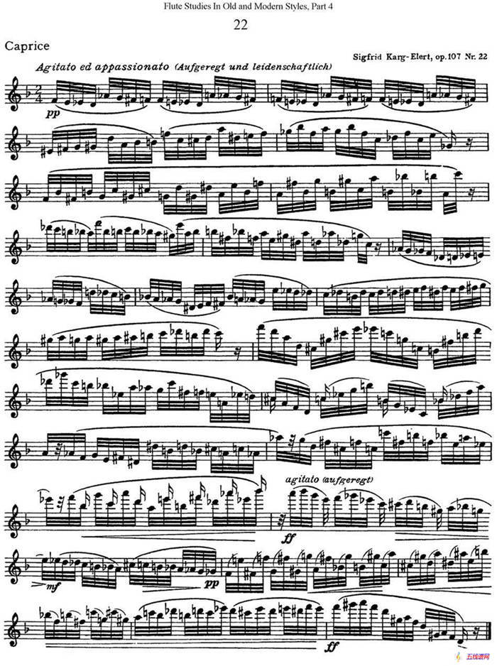 斯勒新老风格长笛练习重奏曲（第四部分）（NO.22）