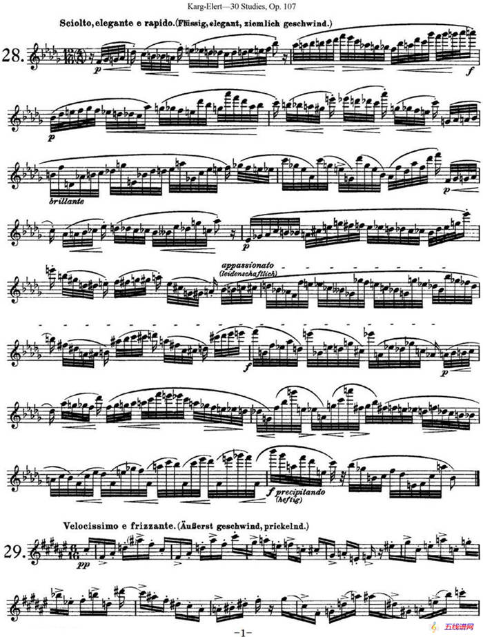 卡-伊勒特30首长笛练习曲Op.107（NO.28-NO.30）