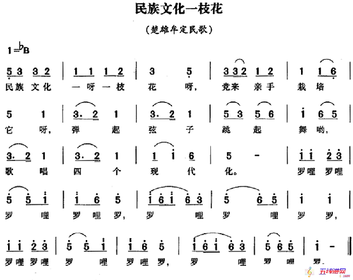 民族文化一枝花