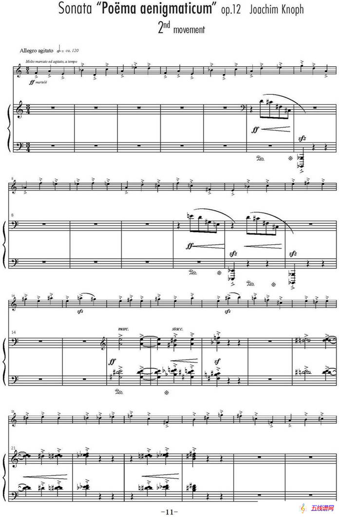 Sonata Poema aenigmaticum（小提琴+钢琴伴奏、2nd movement）