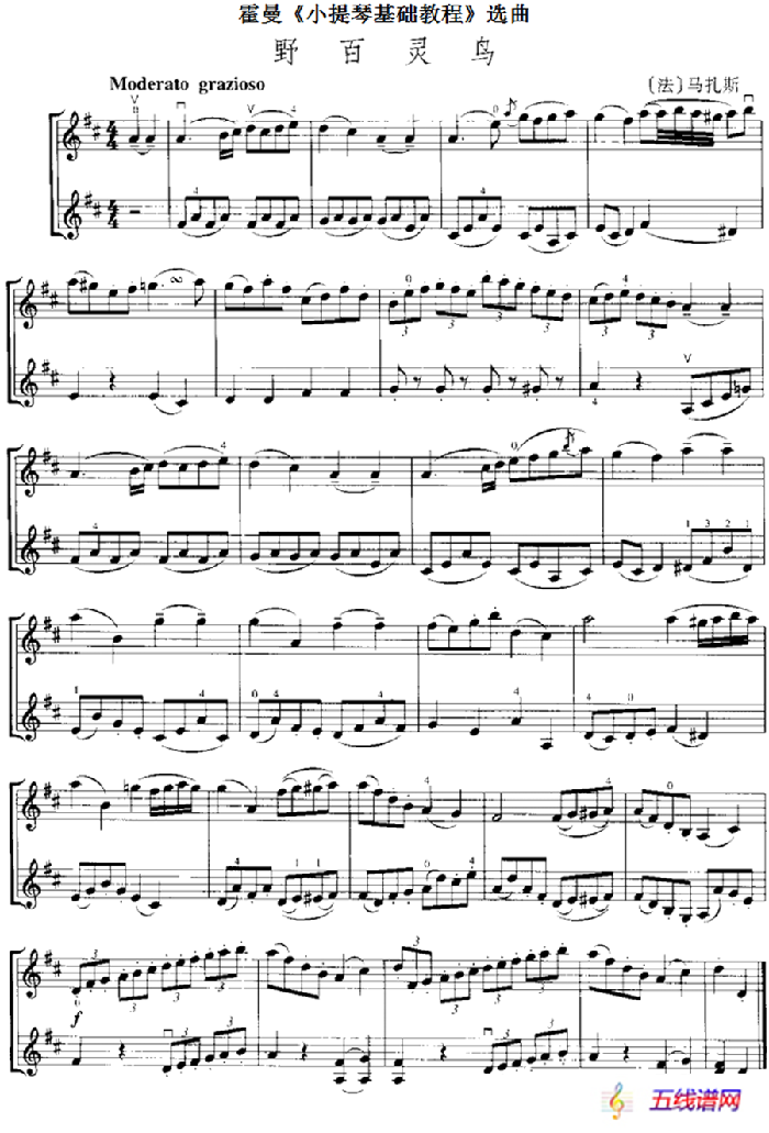 霍曼《小提琴基础教程》选曲：野百灵鸟（二重奏）