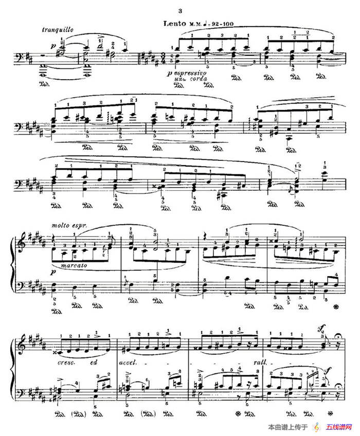 肖邦《练习曲》Fr.Chopin Op.25 No10
