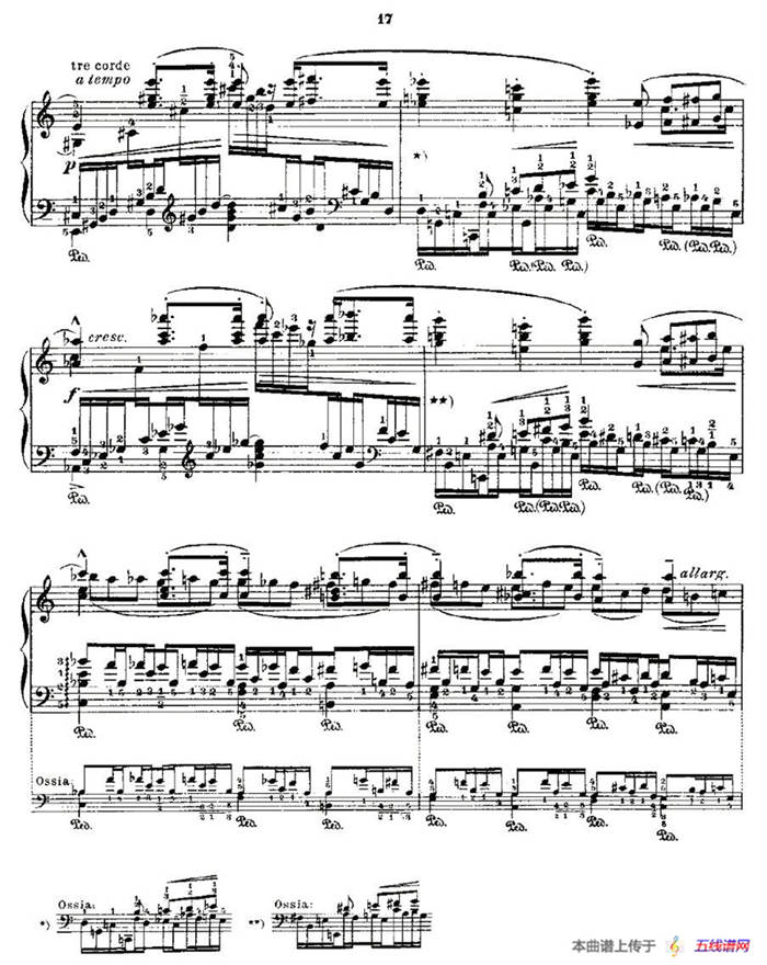 肖邦《练习曲》Fr.Chopin Op.25 No11