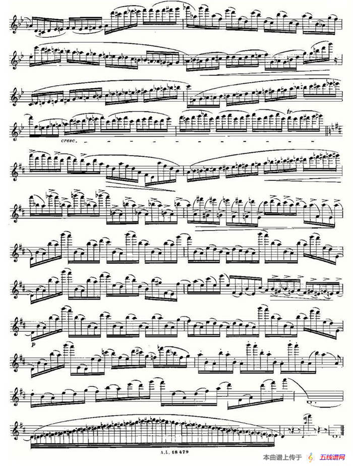 基于维尼亚夫斯基练习曲的10首长笛练习曲之6（Moyse - 10 Studies After Wieniawski）