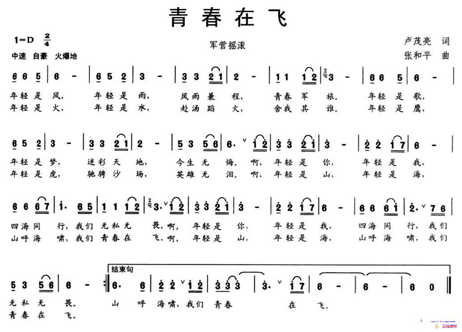 青春在飞