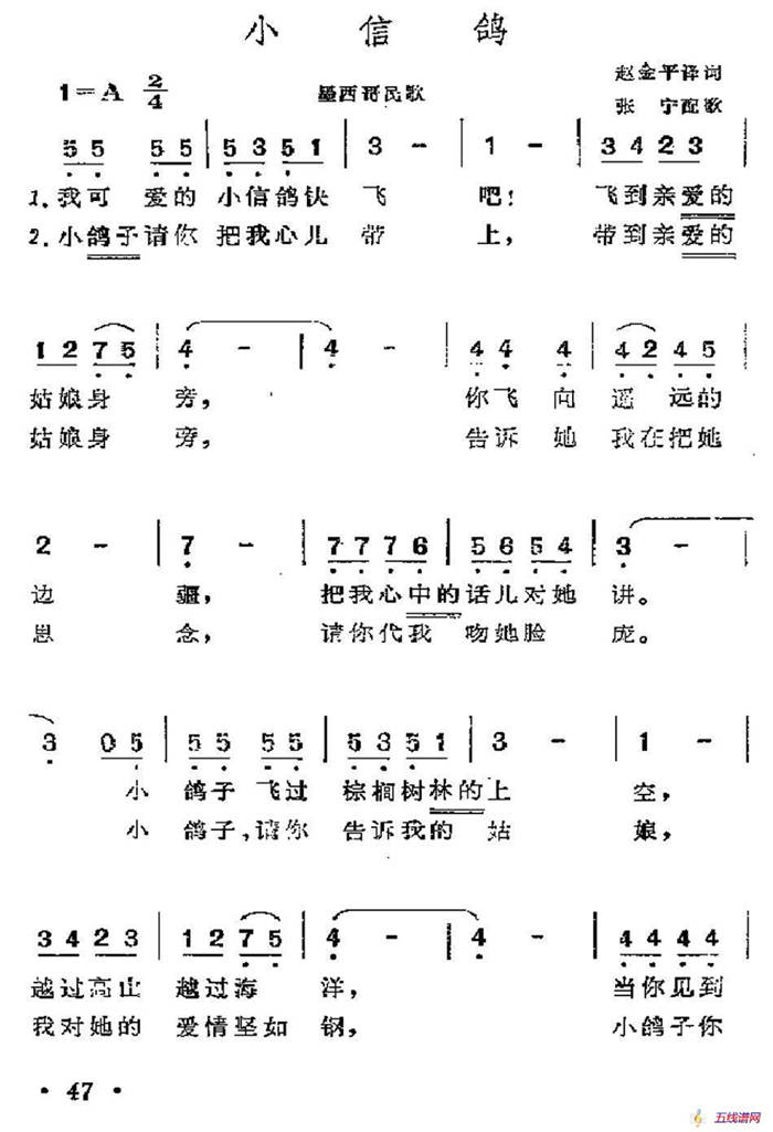 [墨西哥]小信鸽