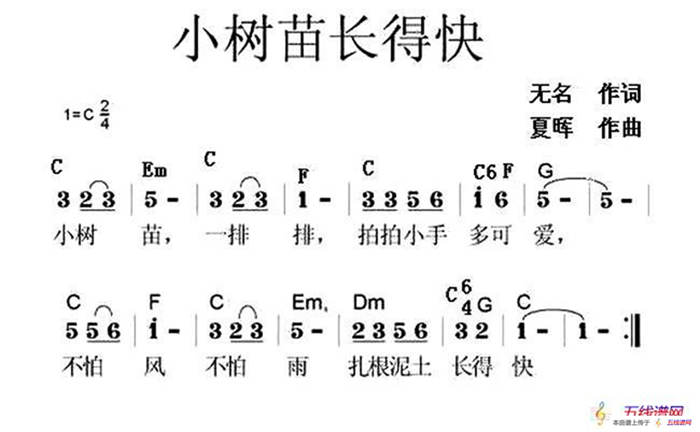 小树苗长得快