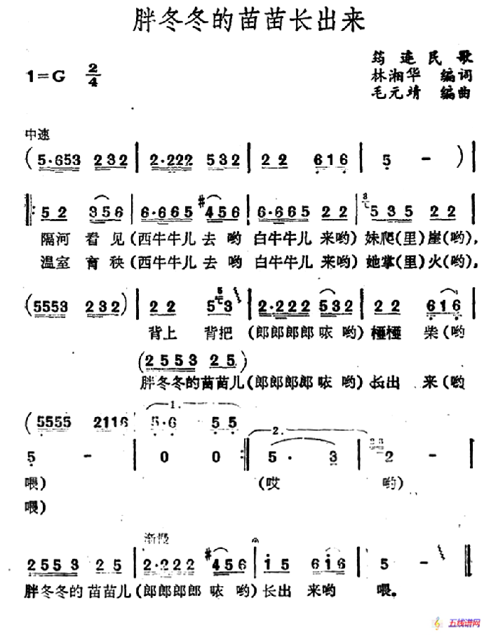 胖冬冬的苗苗长出来