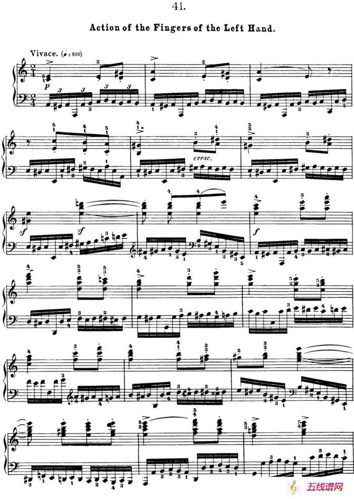 50首车尔尼Op.740钢琴手指灵巧技术练习曲（NO.41）