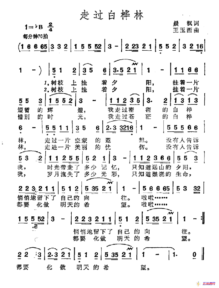 走过白桦林