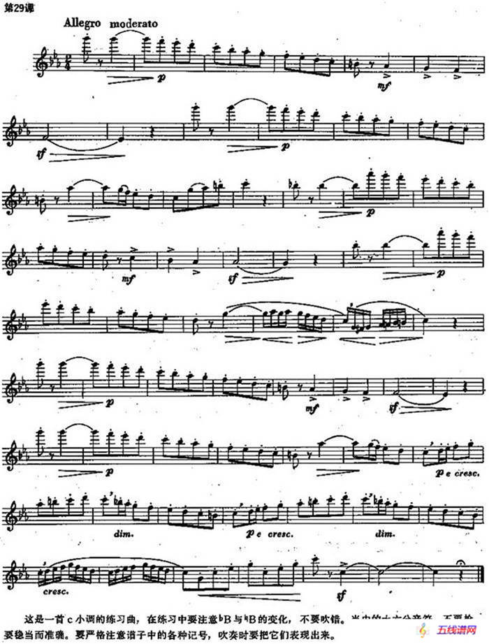 长笛练习曲100课之第29课 （c小调的练习曲）