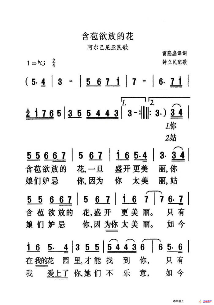 含苞欲放的花（大字老人适用）