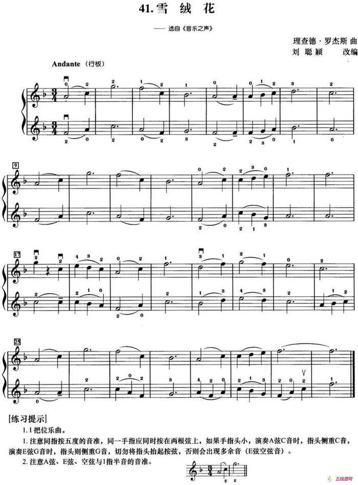 初级小提琴二重奏：雪绒花（选自《音乐之声》）