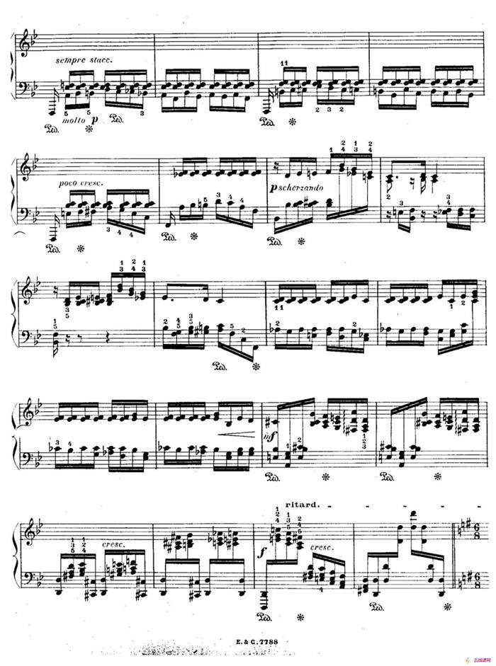 12 Etudes For The Left Hand Op.92 No.5（12首为左手而作的钢琴练习曲）