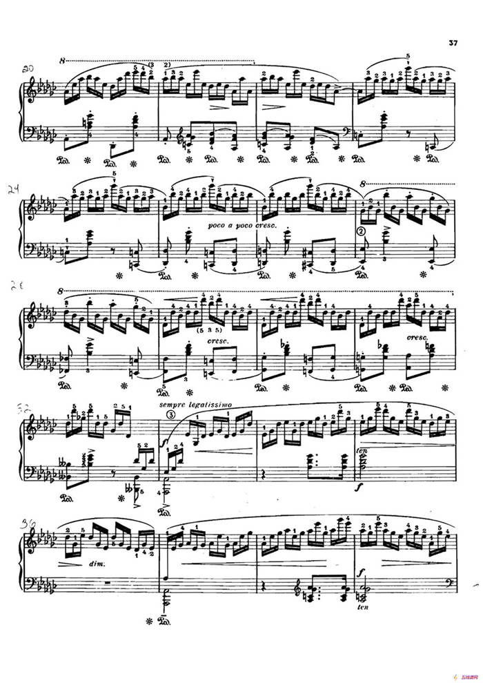 12 Etudes Op.10 柯尔托教学版（12首练习曲·5）