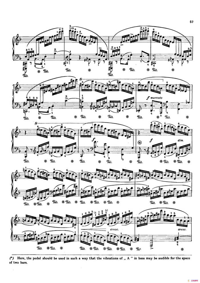12 Etudes Op.10 柯尔托教学版（12首练习曲·8）