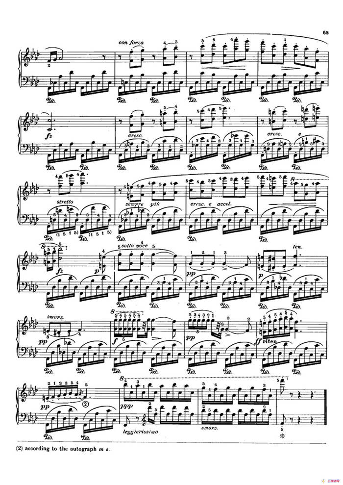 12 Etudes Op.10 柯尔托教学版（12首练习曲·9）