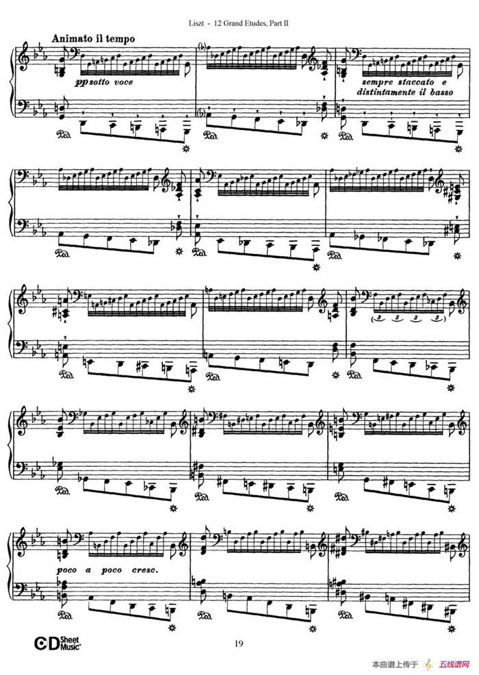 12 Grand Etudes S.137（12首华丽的练习曲·8）