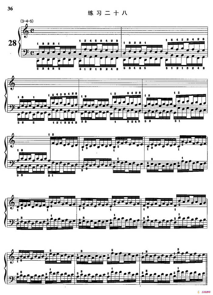 哈农钢琴练指法（第二部分·28）