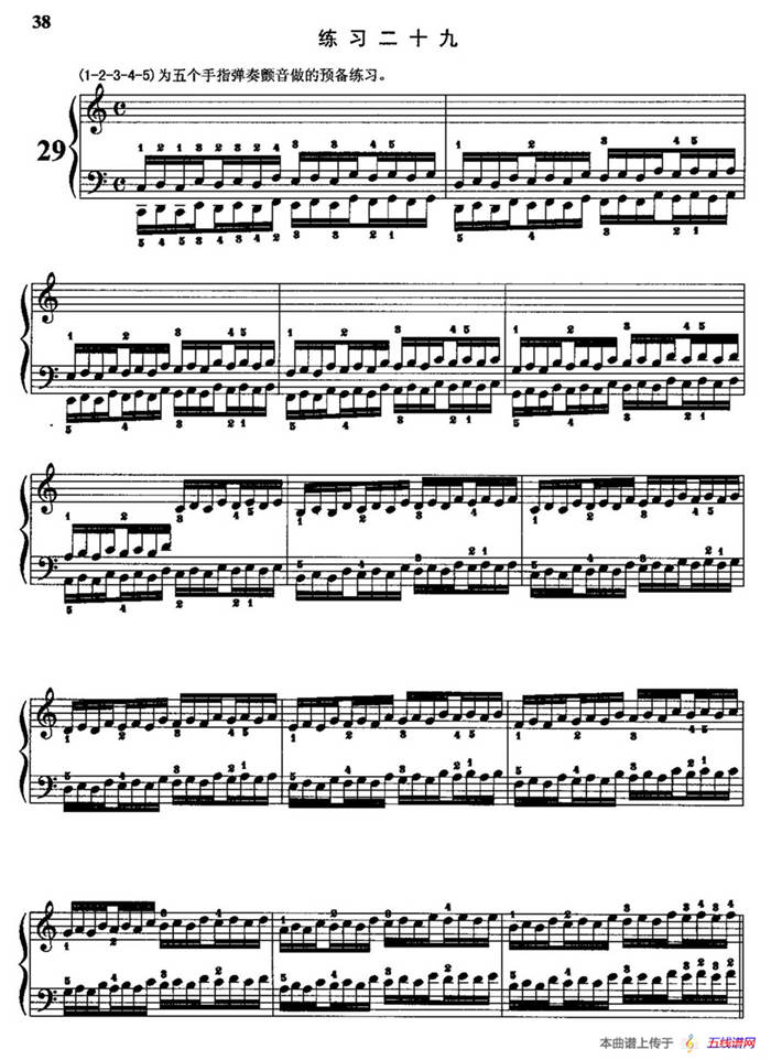 哈农钢琴练指法（第二部分·29）