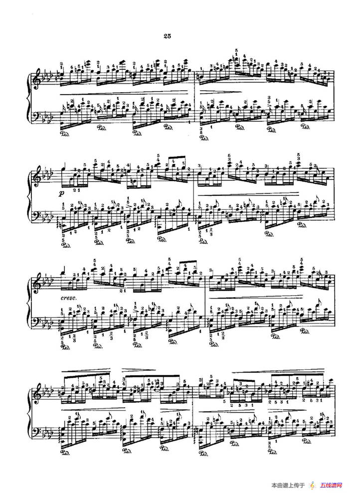 53首以肖邦练习曲为素材而作的练习曲（No.25）